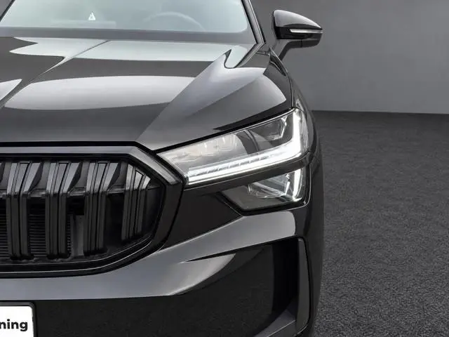 Skoda Kodiaq 1.5 TSI PHEV 204pk DSG Sportline Business · Panoramadak · Inklap. Trekhaak · Camera · K...