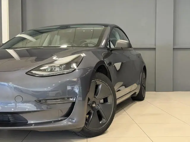 Tesla Model 3 Long Range AWD 75 kWh | Trekhaak | SOH 91,9% |