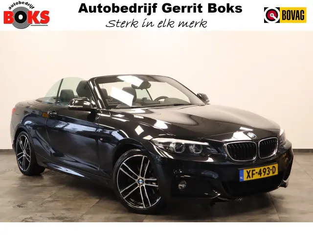 BMW 2-serie Cabrio 220i High Executive M-sport H&K PDC ! 2e Paasdag geopend van 12.00 tot 17:00u !