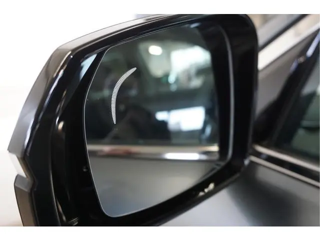Geely Starray EM-i