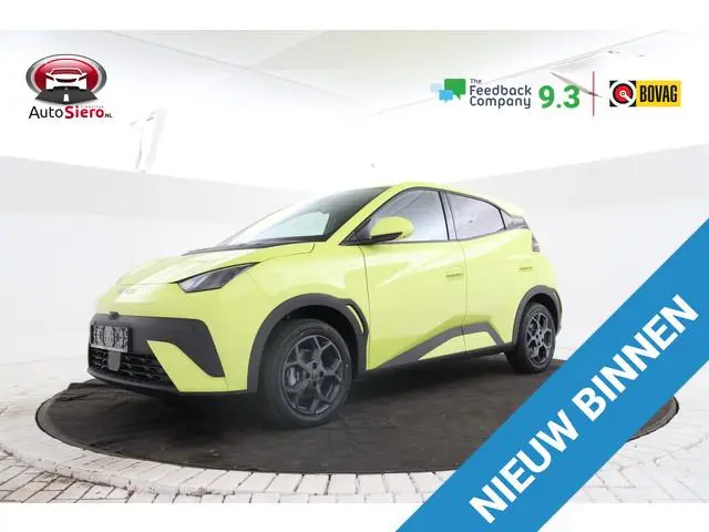byd DOLPHIN SURF 15 STUKS!!! Comfort 43 kWh Comfort black en grey int.
