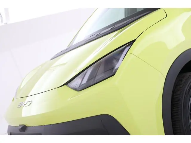 BYD DOLPHIN SURF