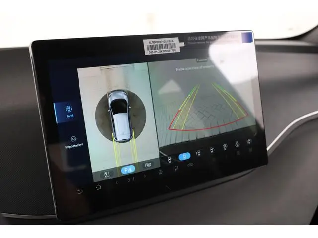 BYD DOLPHIN SURF