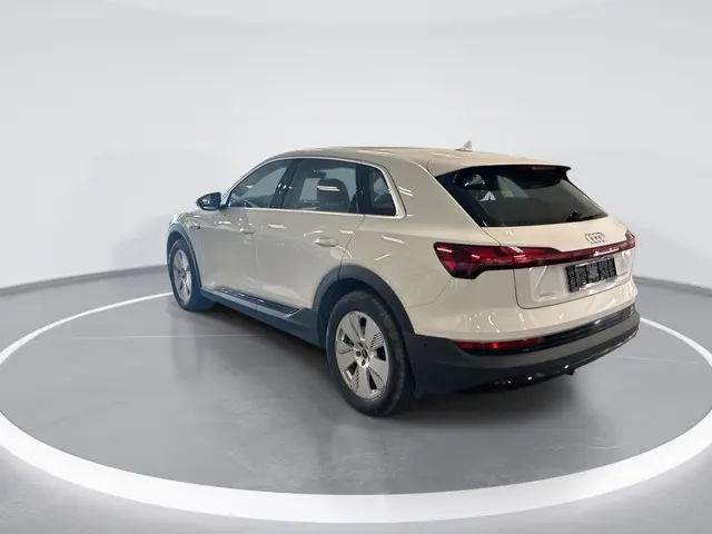 Audi e-tron 50 Quattro Advanced Edition 71 kWh 313pk · Trekhaak · Panoramadak · Camera · Luchtvering...
