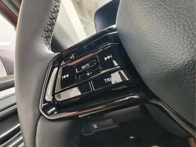 Suzuki e Vitara
