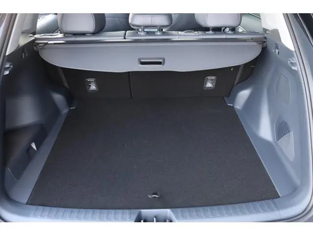 Geely Starray EM-i