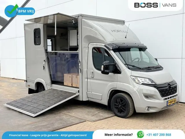 Citroën Jumper 2.2 130PK Paardenwagen Horsetrailer Pferdewagen Gietvloer WTV-opbouw Interieur- en ac...