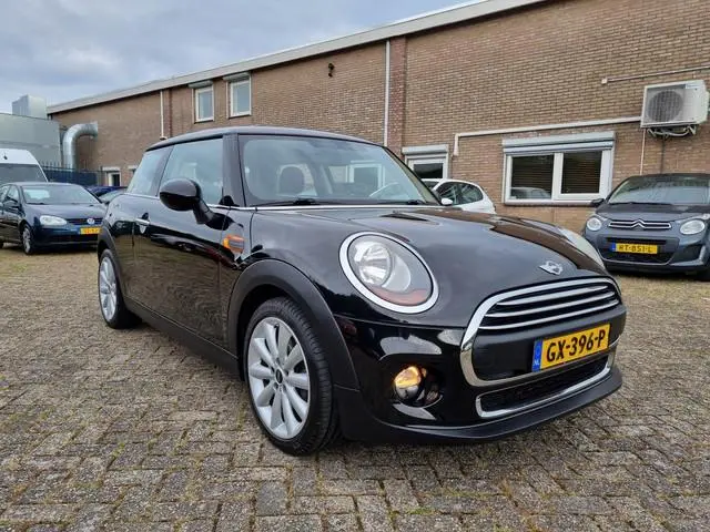 Mini Mini