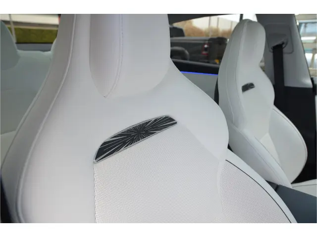 Tesla Model 3 Performance AWD 78 kWh Enhanced AutoPilot4.0 Ryzen (twv 3.800,-)