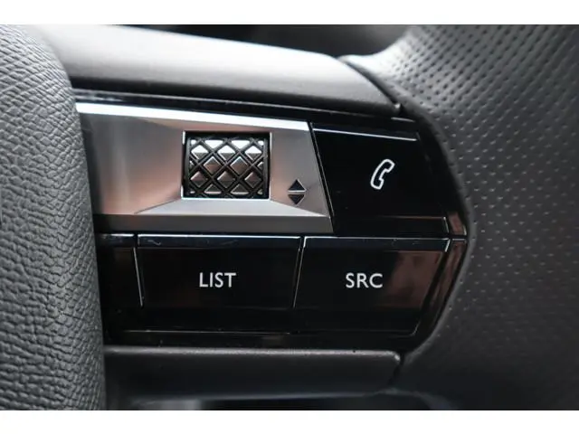 DS DS 3