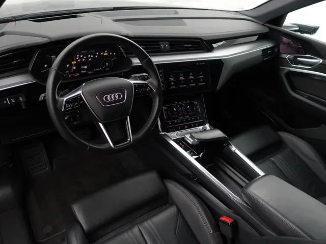 Audi e-tron e-tron 55 Quattro advanced Pro Line Plus 95 kWh- SOH 89%, Night Vision, Bang Olufsen, Ca...