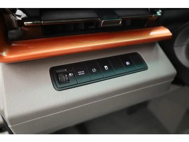 Farizon SV