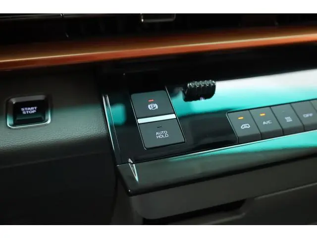 Farizon SV