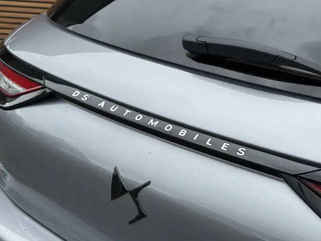 DS DS 3
