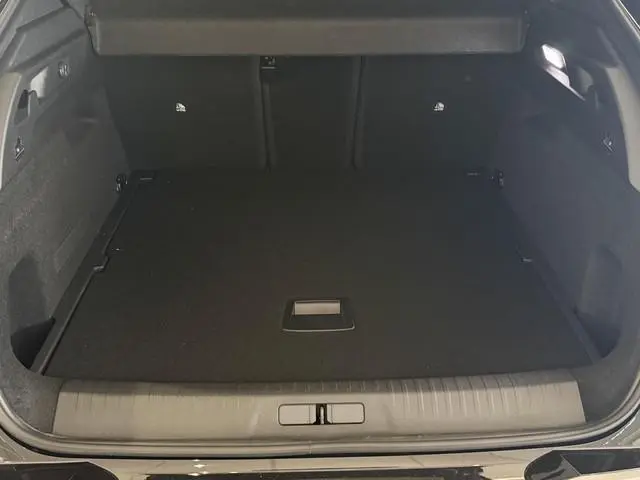 Peugeot e-3008