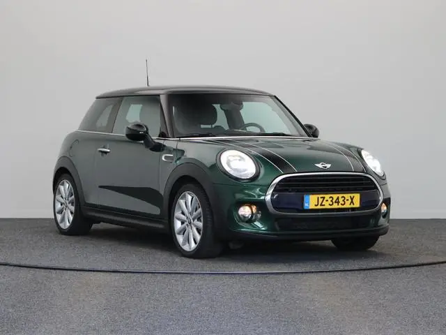 Mini Mini