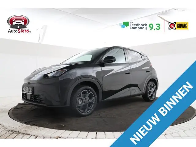 byd DOLPHIN SURF 15 STUKS!!! Comfort 43 kWh Comfort black en grey int.