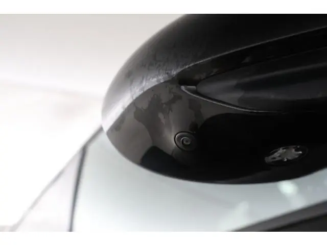 BYD DOLPHIN SURF