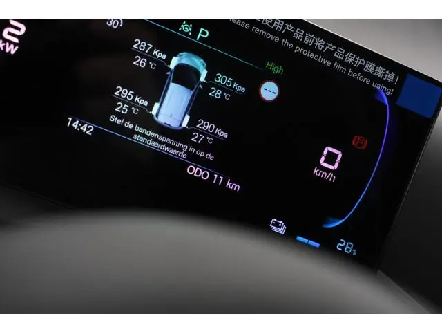 BYD DOLPHIN SURF
