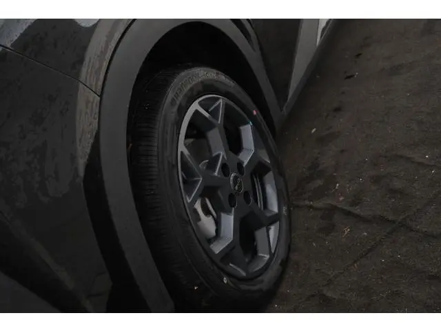 BYD DOLPHIN SURF