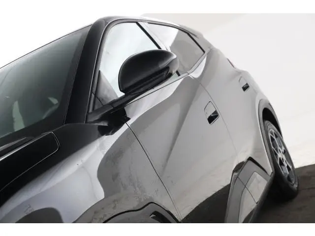 BYD DOLPHIN SURF
