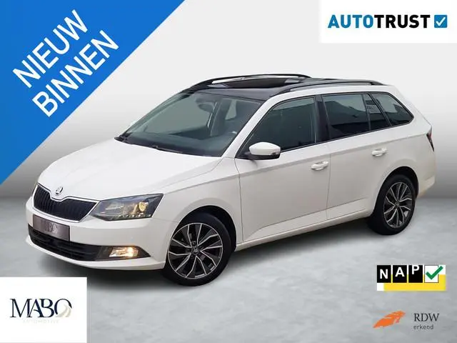 Skoda Fabia Combi 1.2 TSI Edition NL Auto|1ste eig.|Goed onderh.|Pano|D.Riem V.V.
