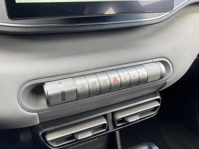 BYD DOLPHIN SURF