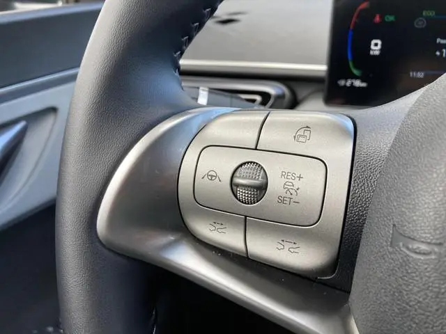 BYD DOLPHIN SURF