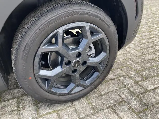 BYD DOLPHIN SURF