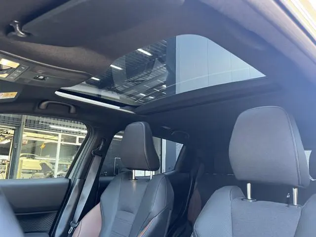 Suzuki e Vitara