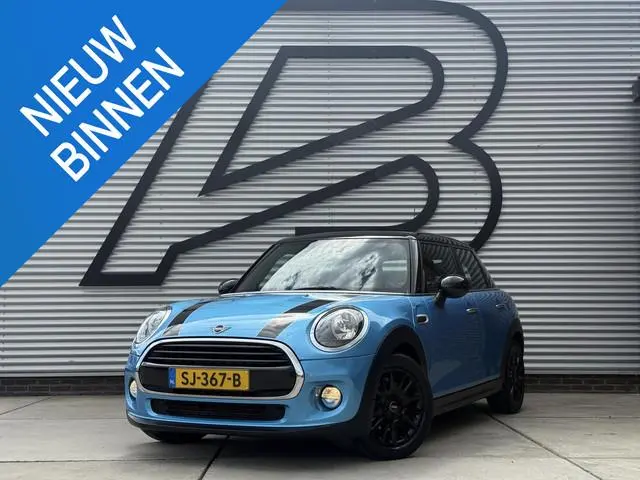 Mini Mini
