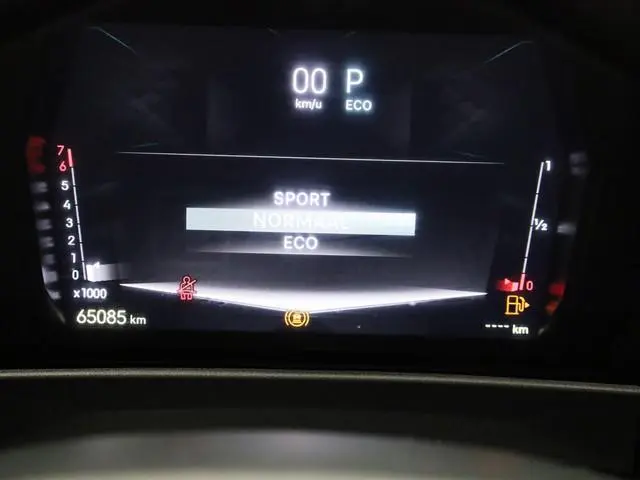 DS DS 4
