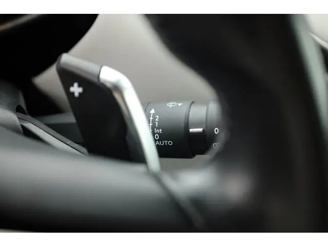 DS DS 3