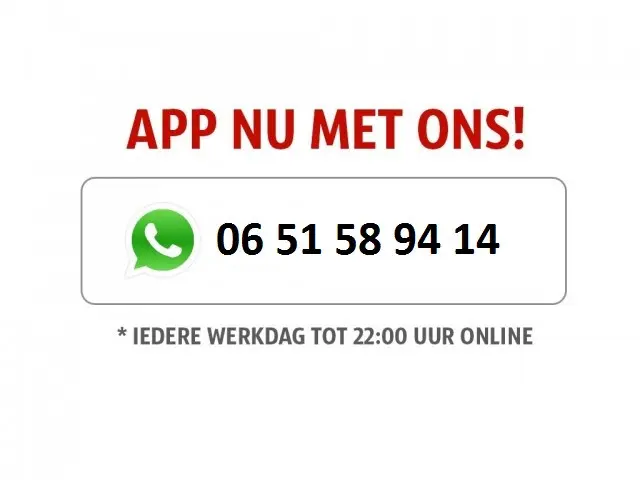 MINI Mini Countryman 2.0 Cooper S E ALL4 Untamed Edition Panoramadak Navigatie Full-led ! 2e Paasdag...