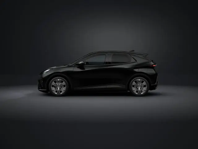 Cupra Raval
