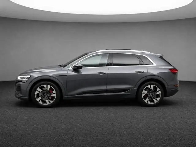 Audi Q8 e-tron 55 408pk Quattro S Edition Competition 115 kWh · SOH 90,9% · Panoramadak · Luchtverin...