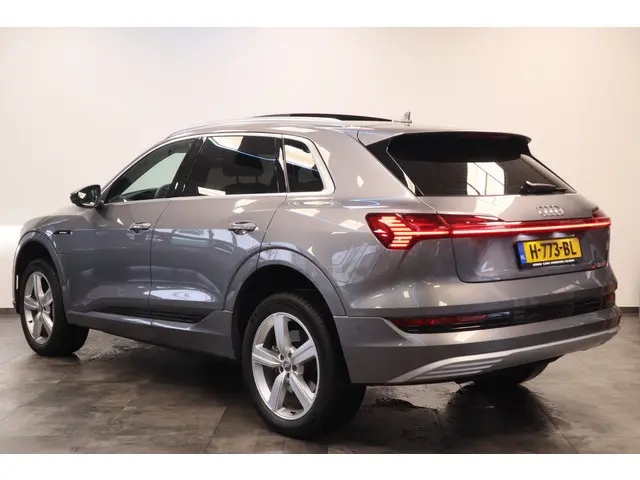 Audi e-tron e-tron 50 quattro Launch edition plus 71 kWh Memory Keyless Go/Start ACC ECC Carplay ! 2...