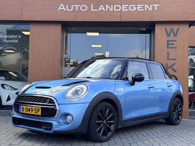 Mini Mini