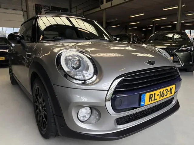 Mini Mini