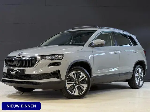 ŠKODA Karoq 1.5 TSI ACT Business Edition Plus | Panoramadak | Camera | Adaptive cruise | Stoelverwar...