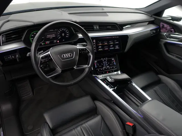 Audi e-tron e-tron 55 quattro advanced Pro Line Plus 95 kWh- SOH 93%, Camera Spiegels, Panoramadak,...