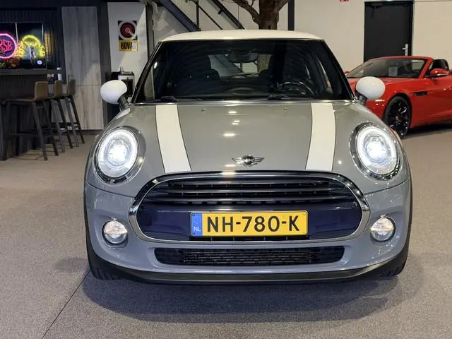 Mini Mini