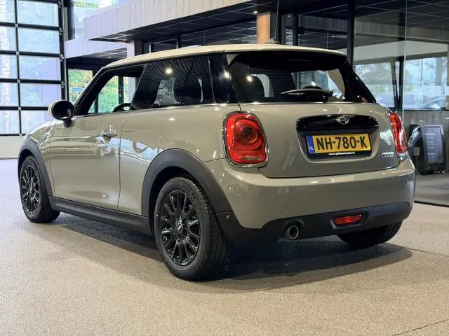 Mini Mini