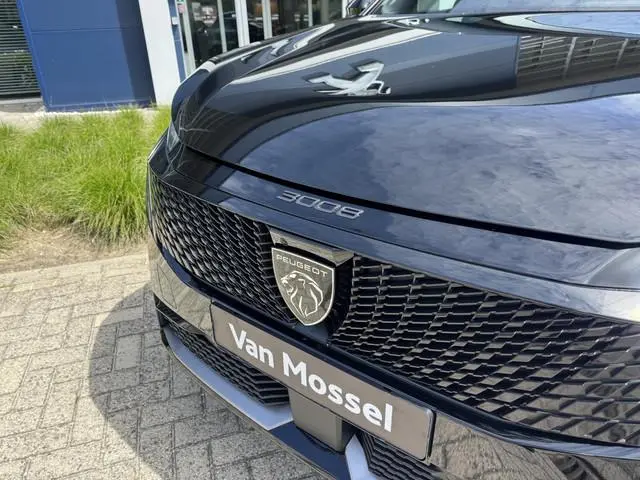 Peugeot e-3008