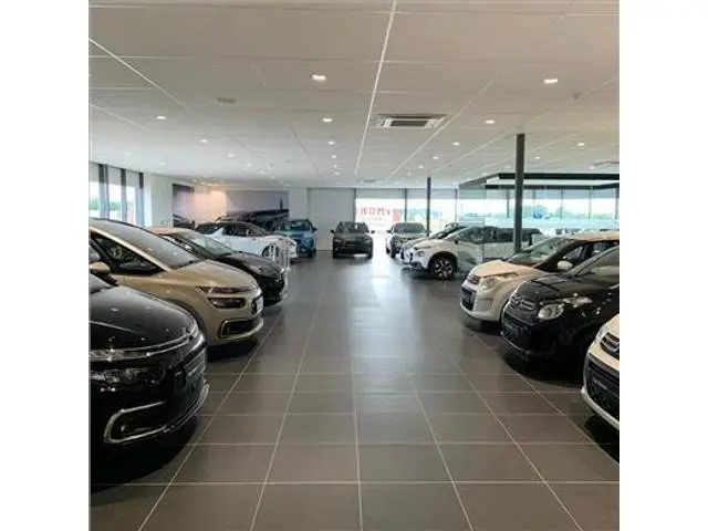 DS DS 3