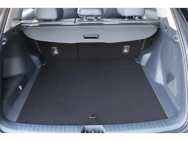 Geely Starray EM-i